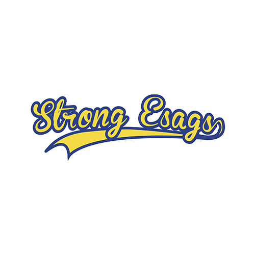 Strong Esags - FGV